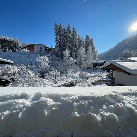 2-6 Pax In Alps *