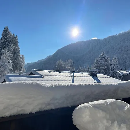Apartment 2-6 Pax In Alps Kitzbühel