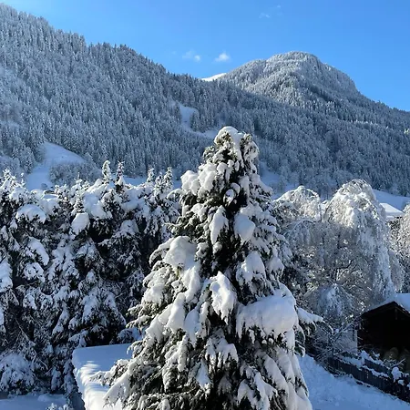 2-6 Pax In Alps Kitzbühel